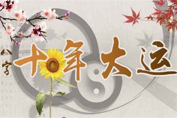 十年大运免费查询